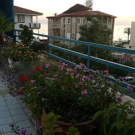 Delphin Hotel 3*